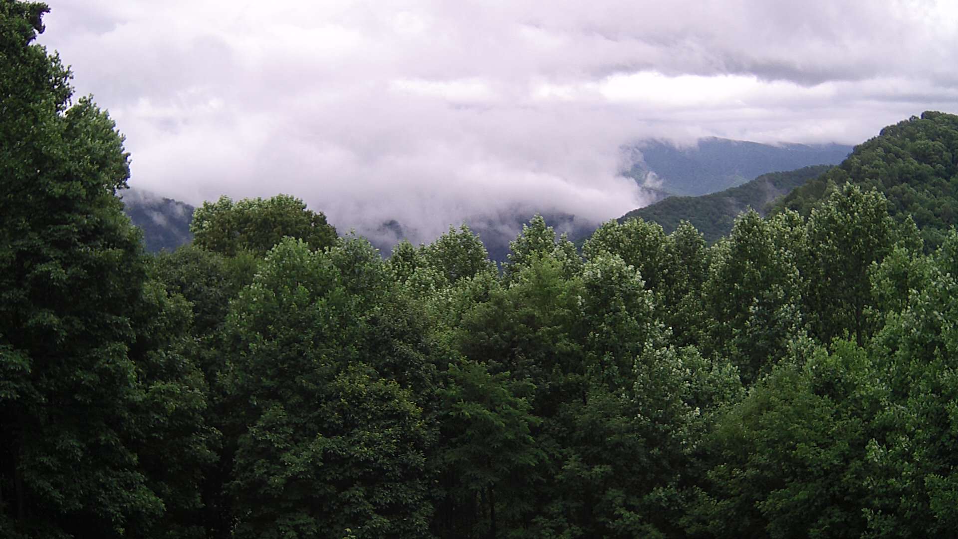 click for next image... slideshow image