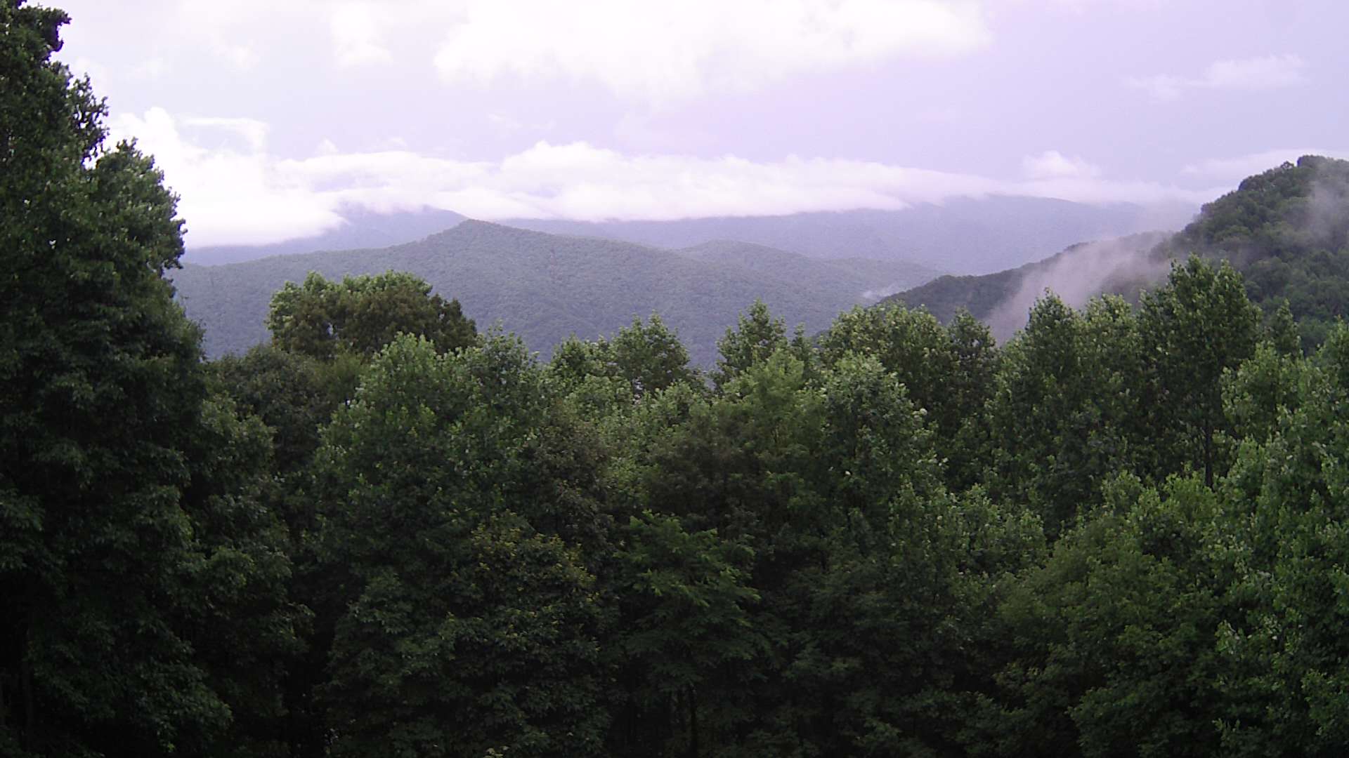 click for next image... slideshow image