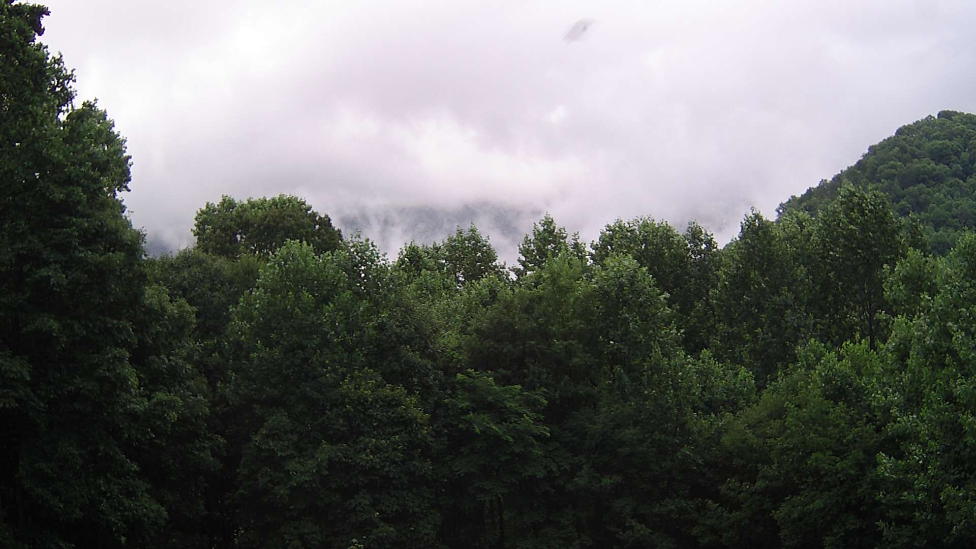 click for next image... slideshow image