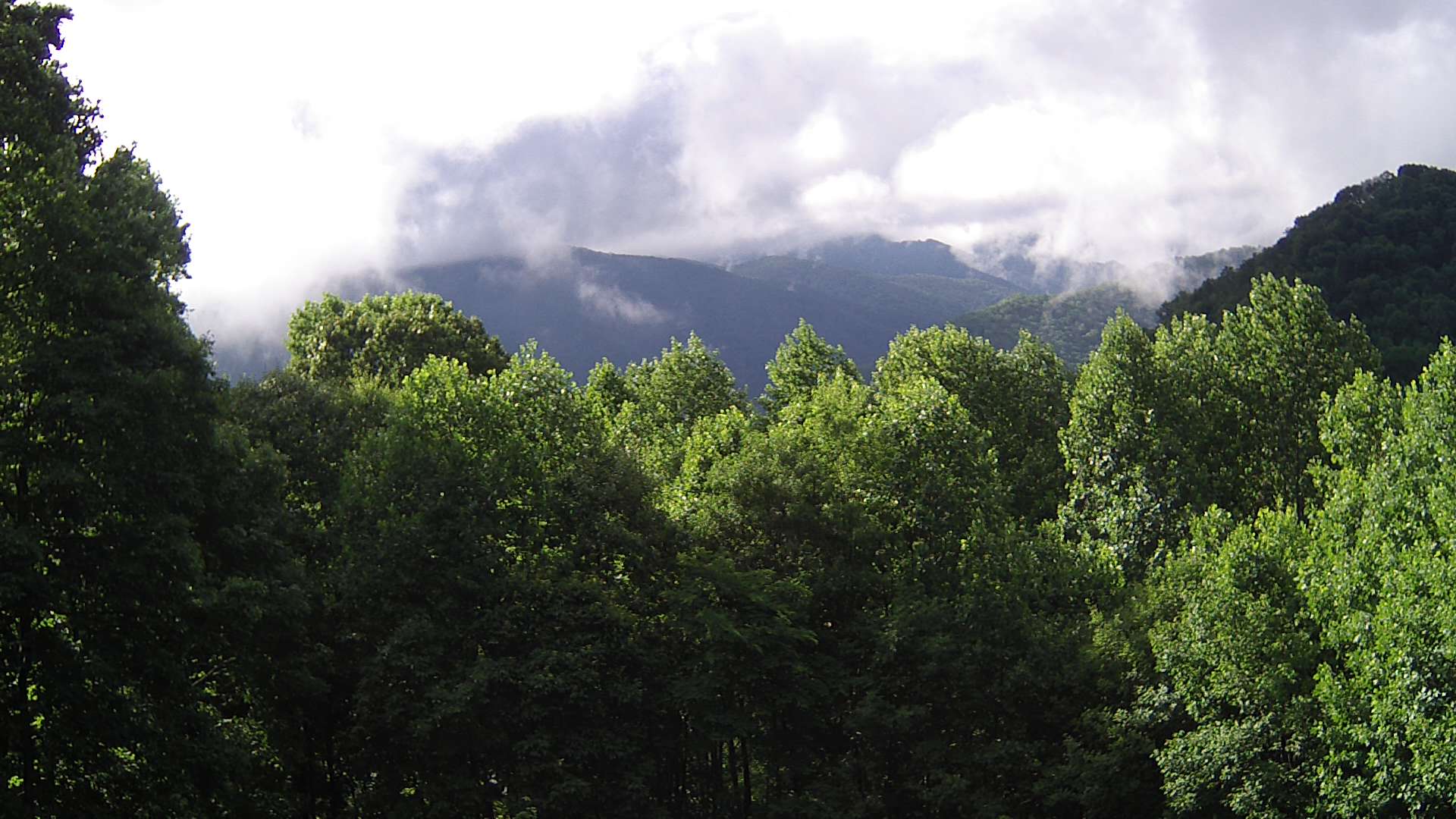 click for next image... slideshow image