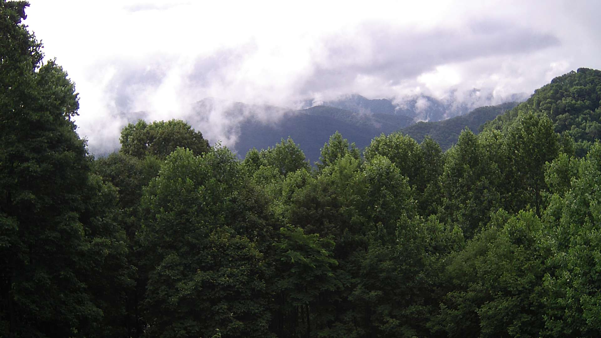 click for next image... slideshow image