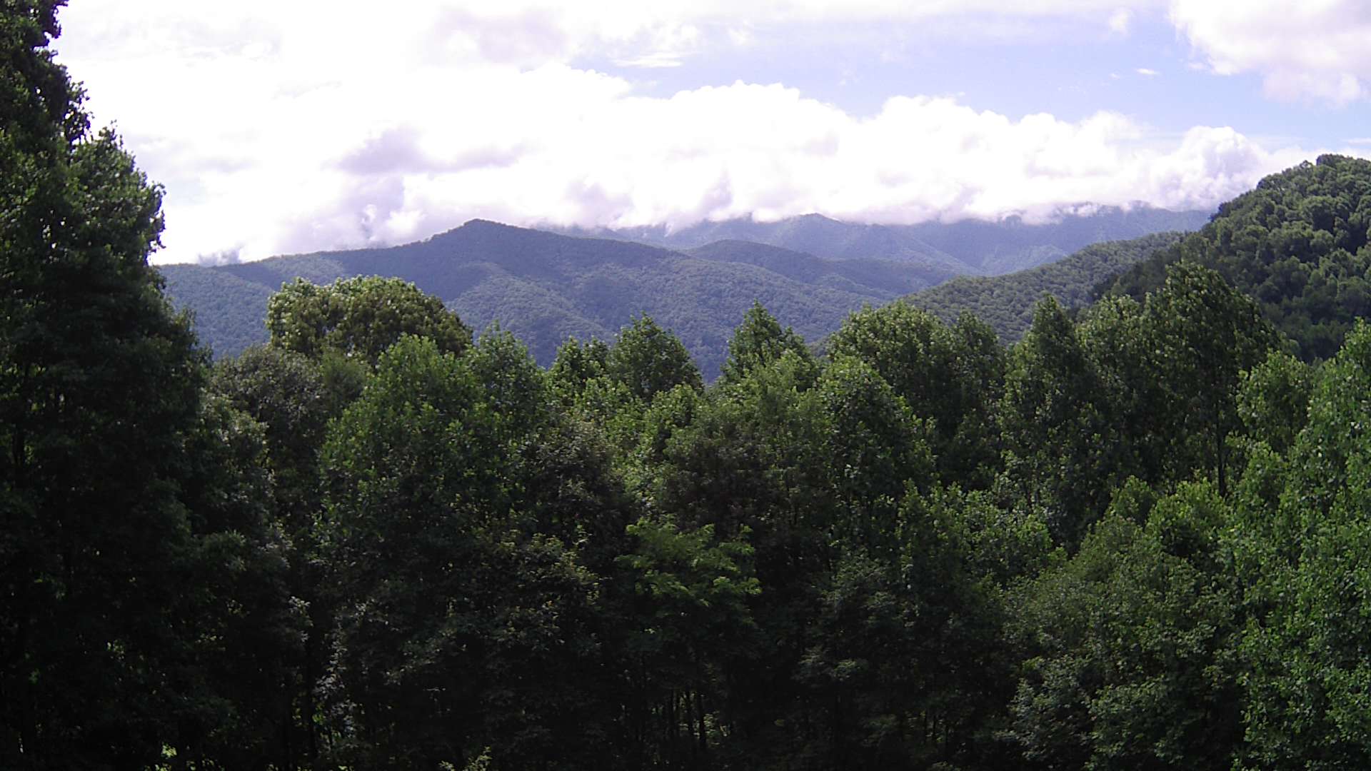 click for next image... slideshow image