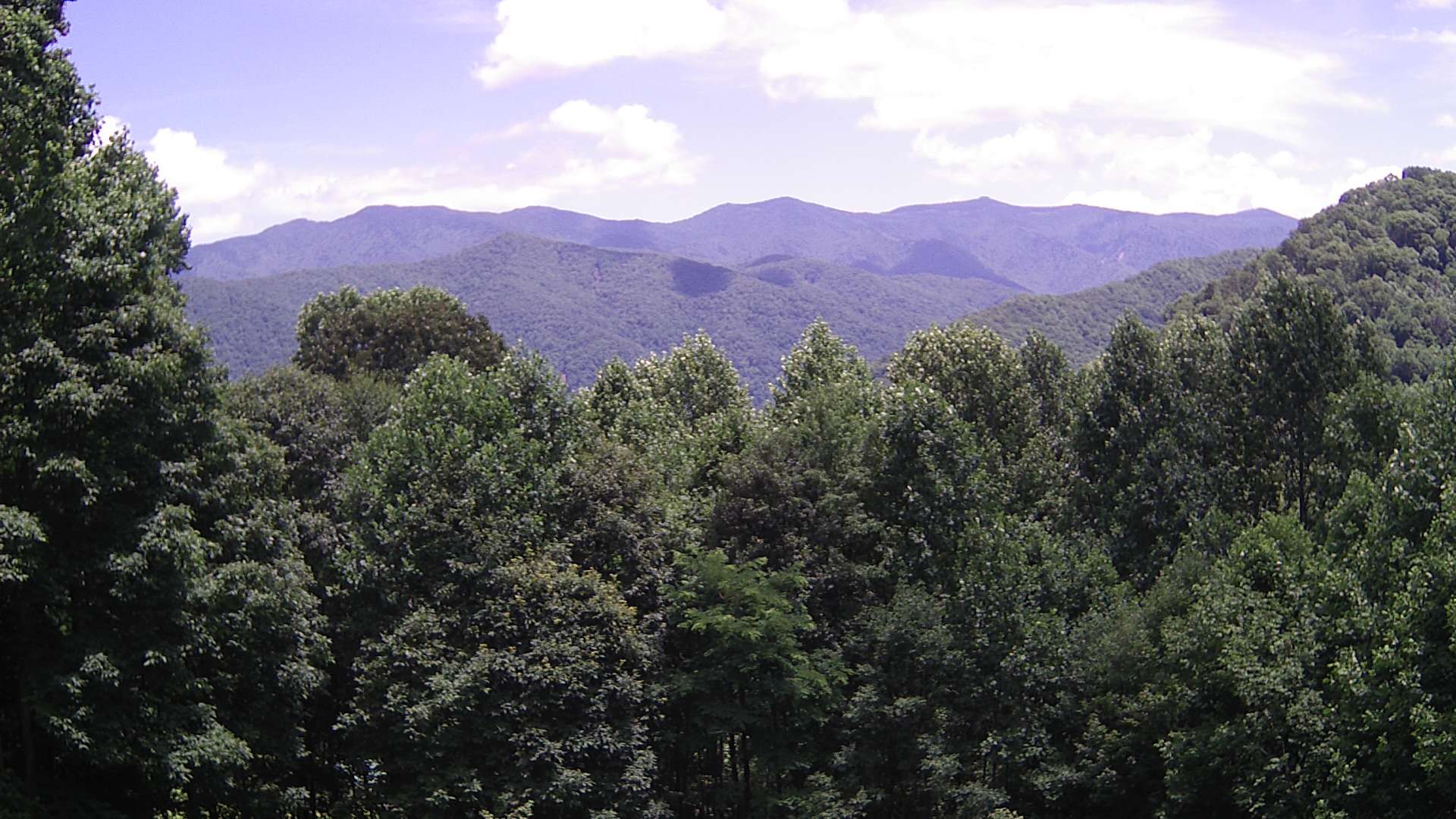 click for next image... slideshow image