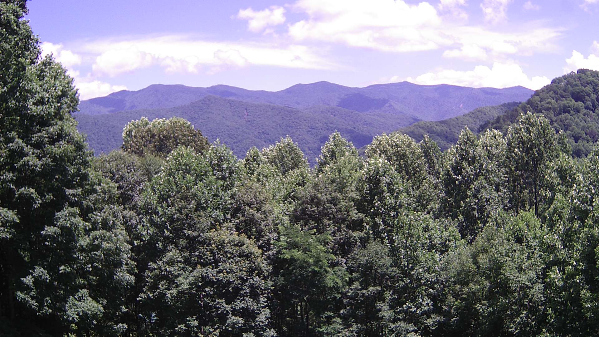 click for next image... slideshow image