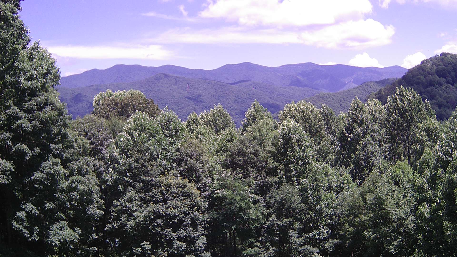 click for next image... slideshow image