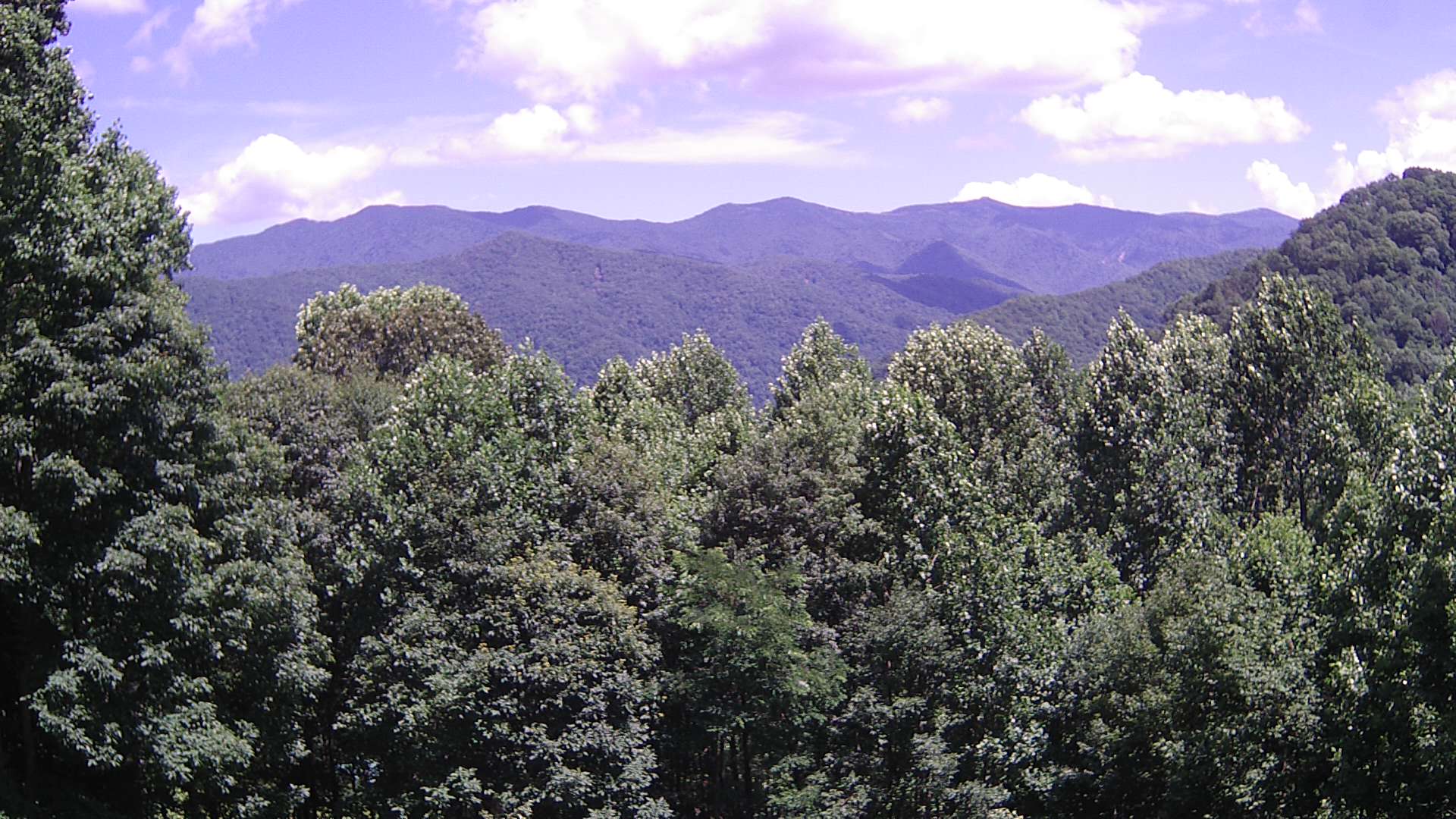 click for next image... slideshow image