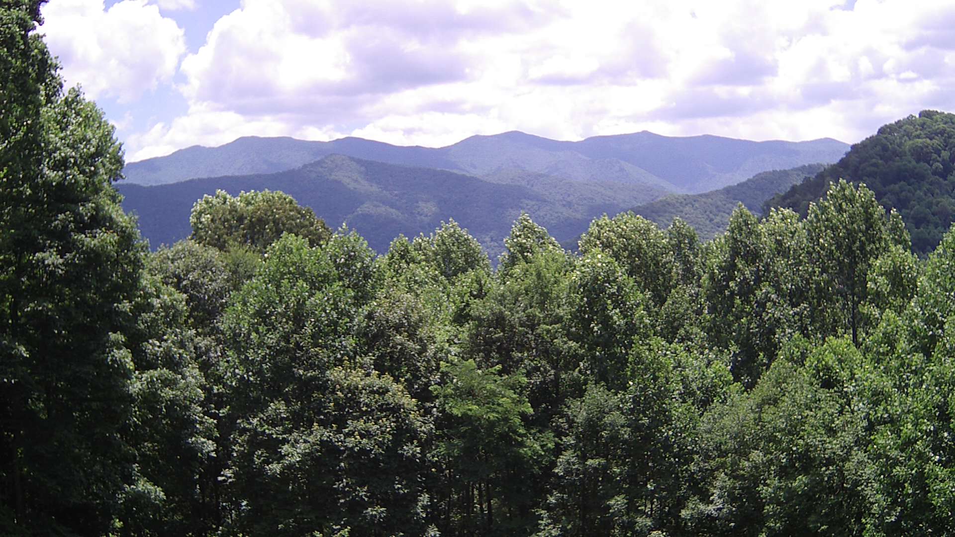 click for next image... slideshow image