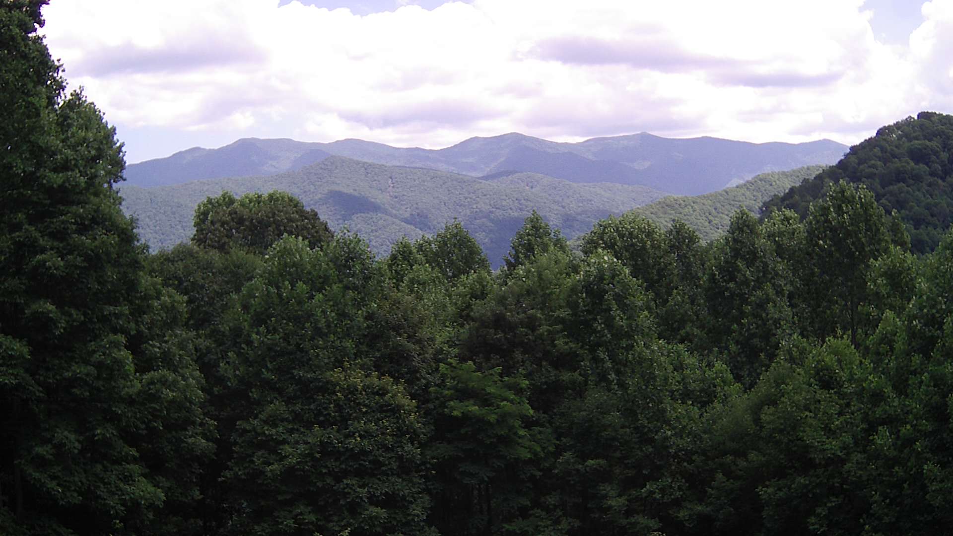 click for next image... slideshow image