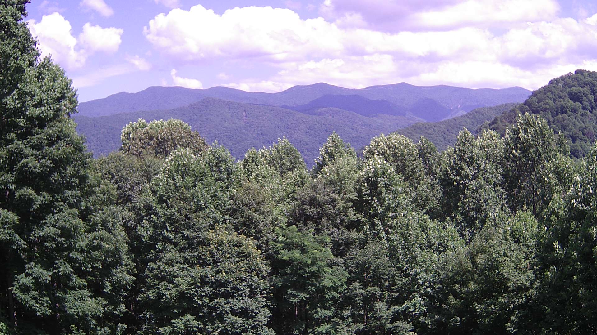 click for next image... slideshow image