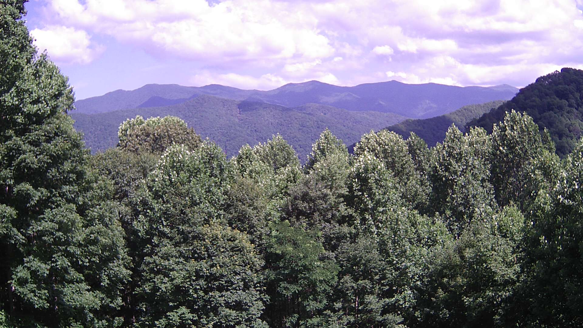 click for next image... slideshow image