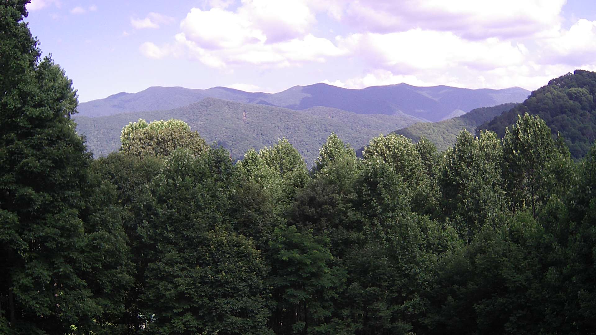 click for next image... slideshow image