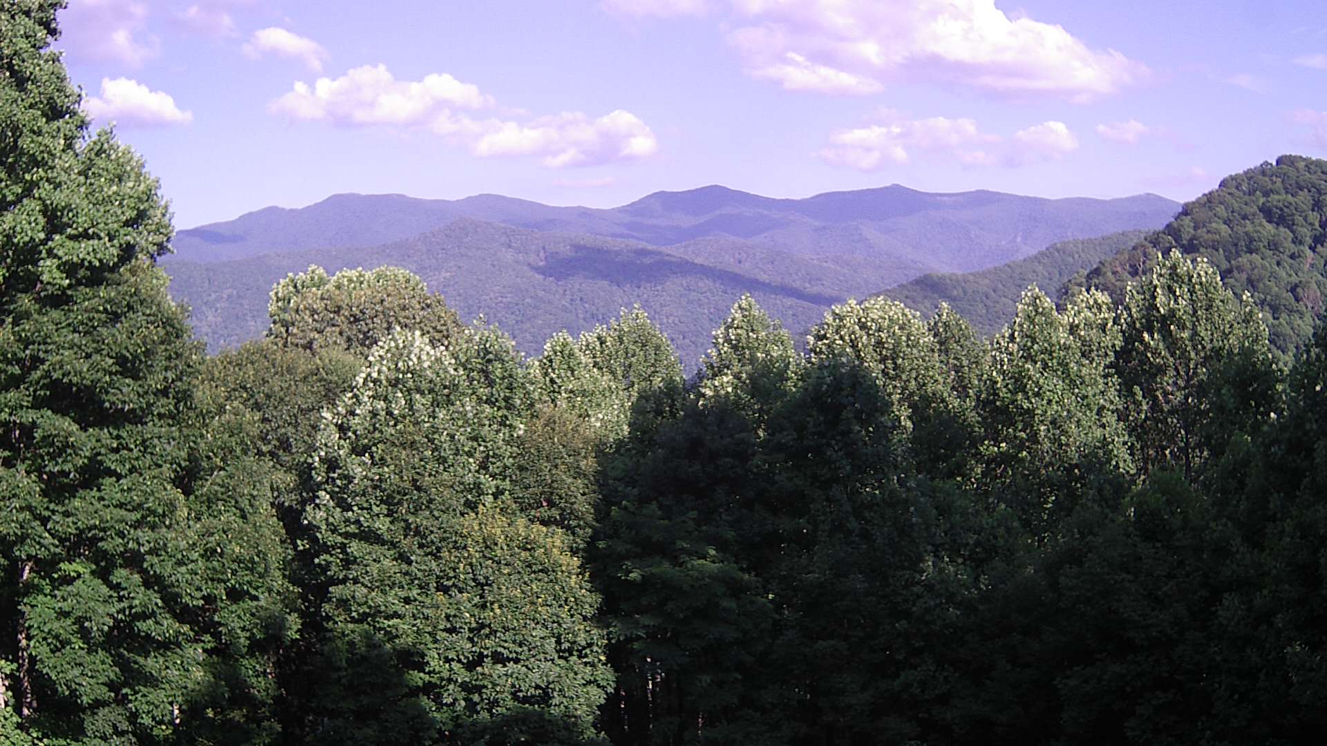 click for next image... slideshow image