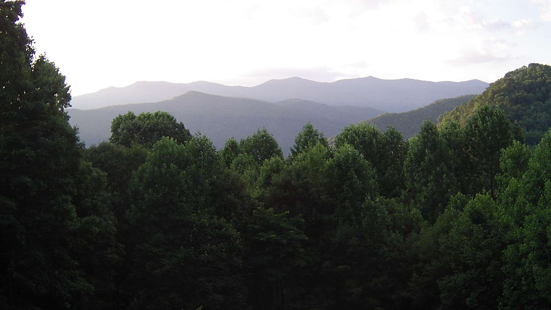 click for next image... slideshow image