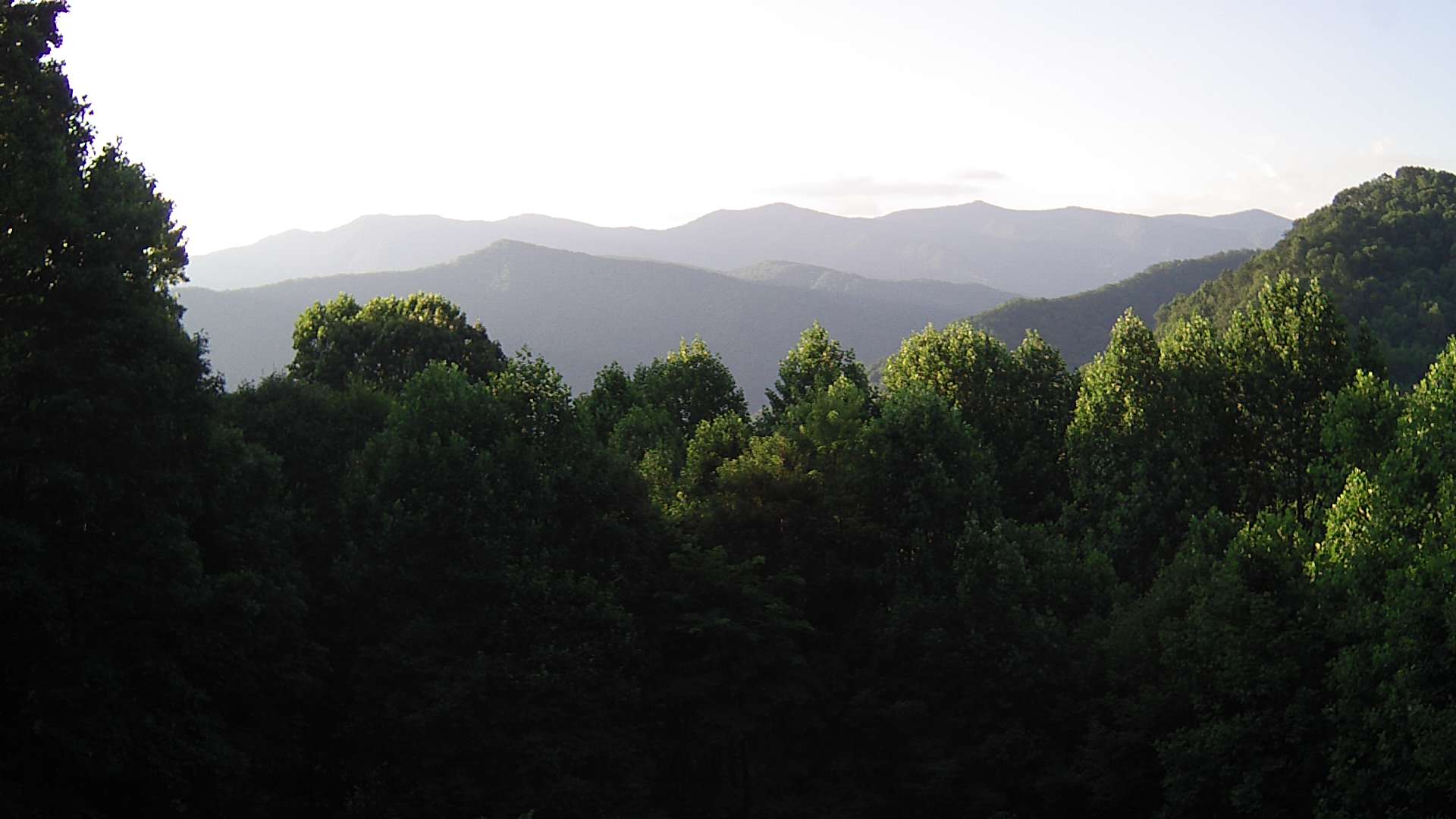 click for next image... slideshow image