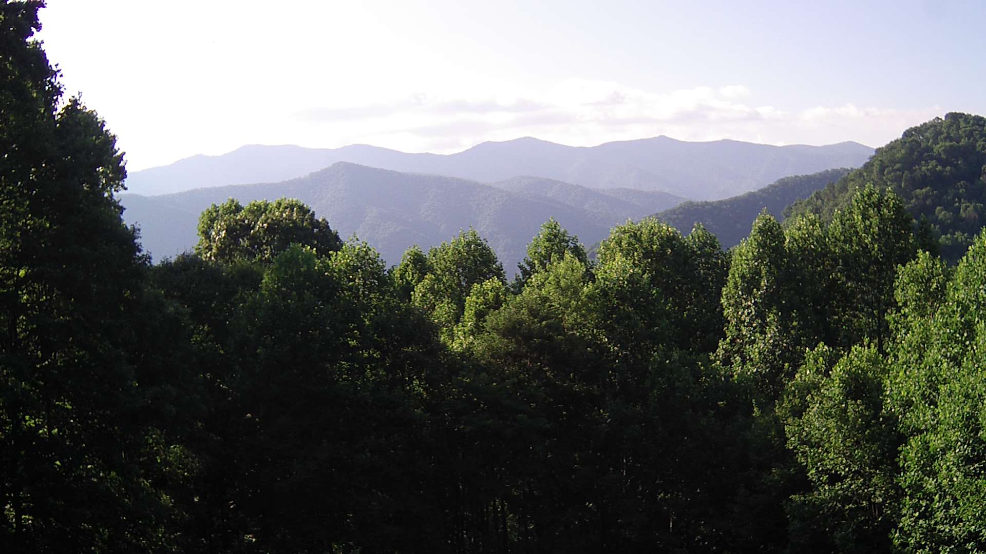 click for next image... slideshow image