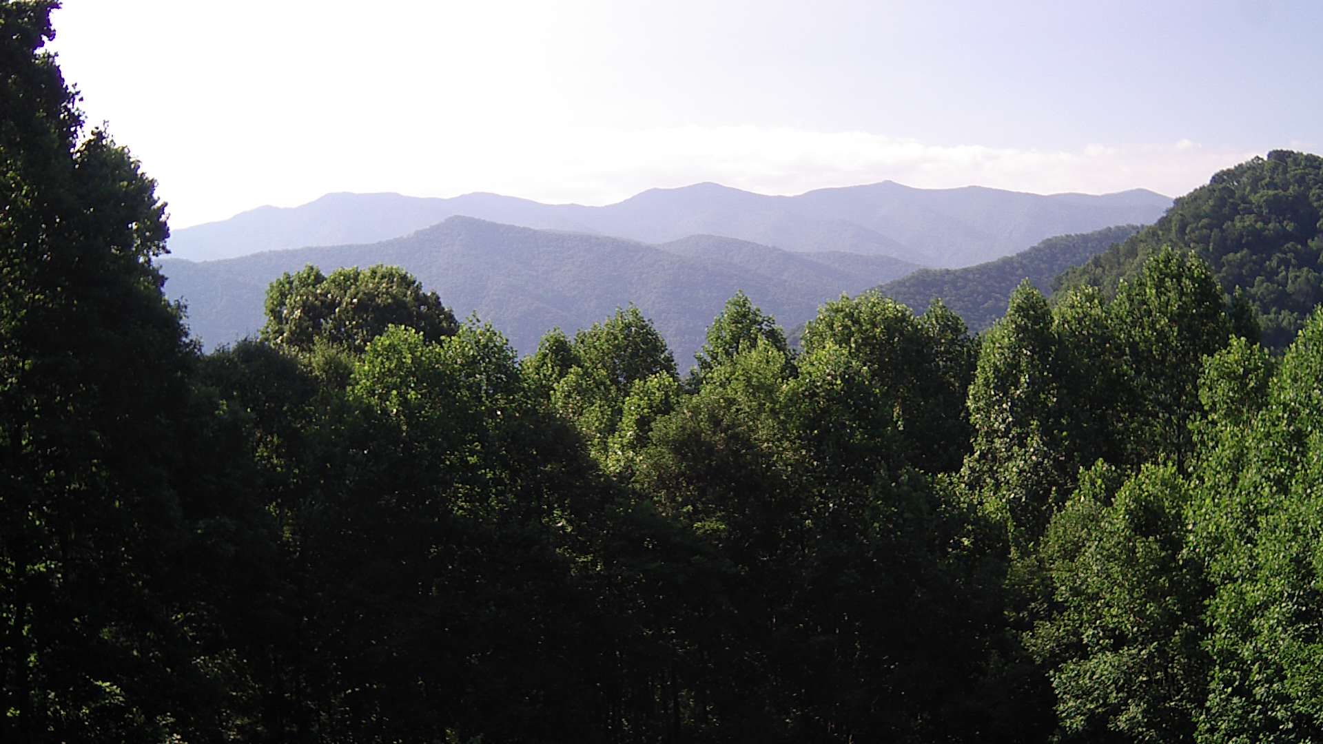 click for next image... slideshow image