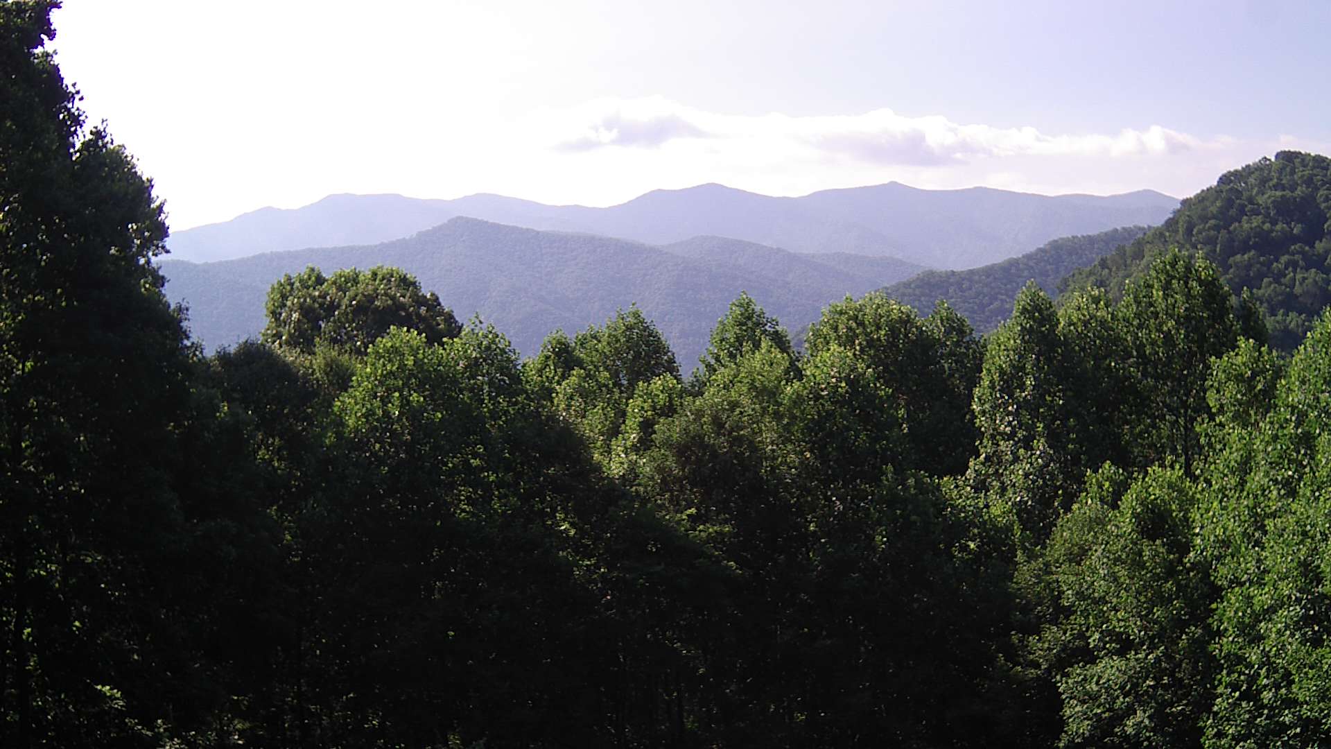 click for next image... slideshow image