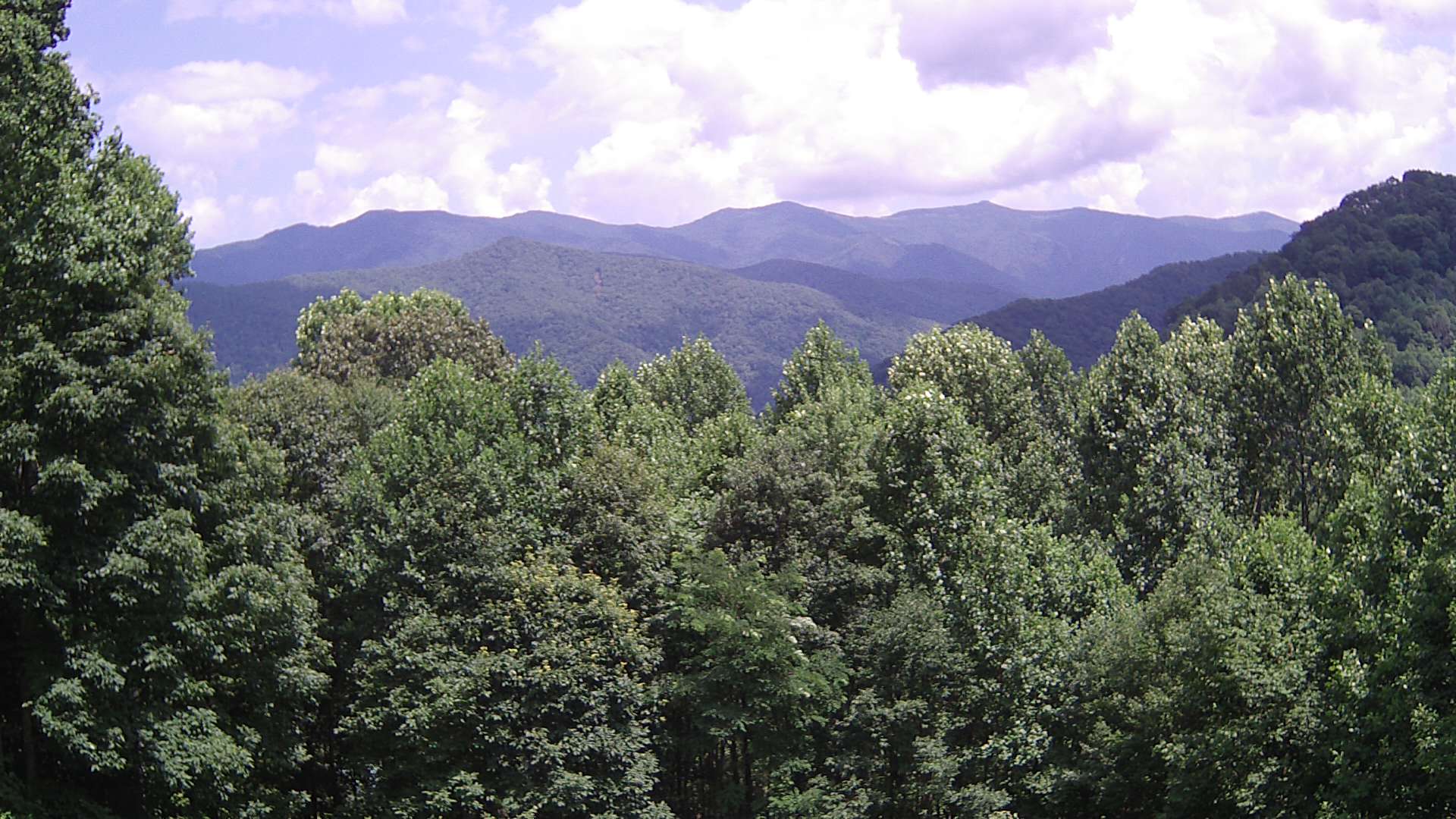 click for next image... slideshow image