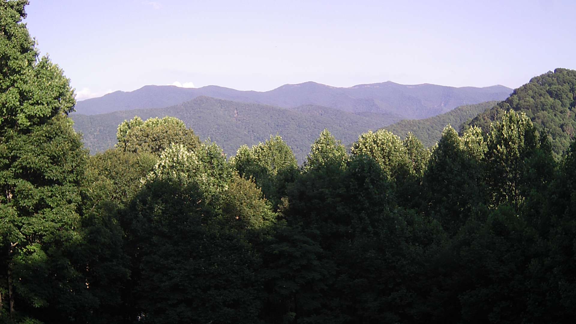 click for next image... slideshow image
