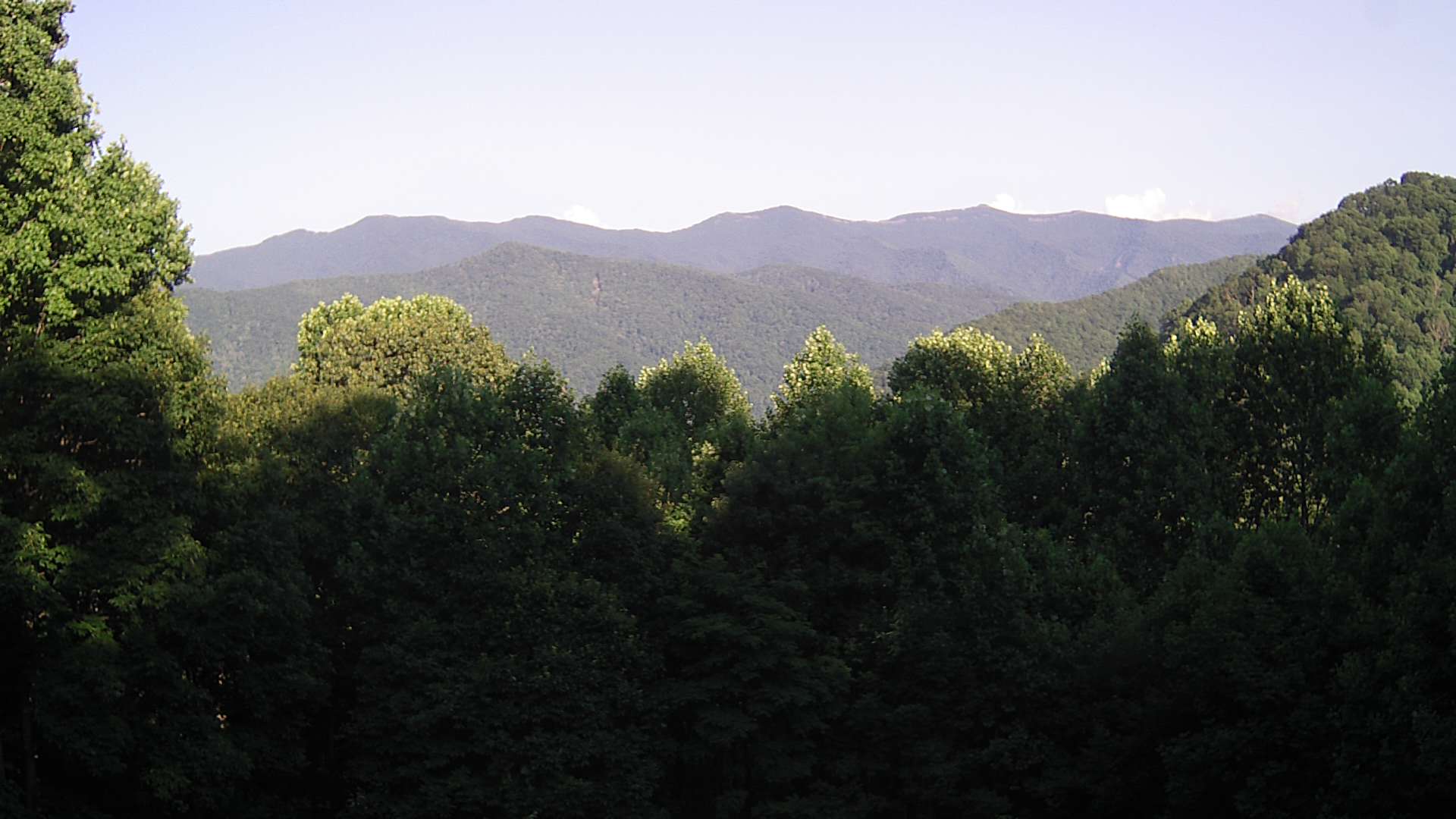 click for next image... slideshow image