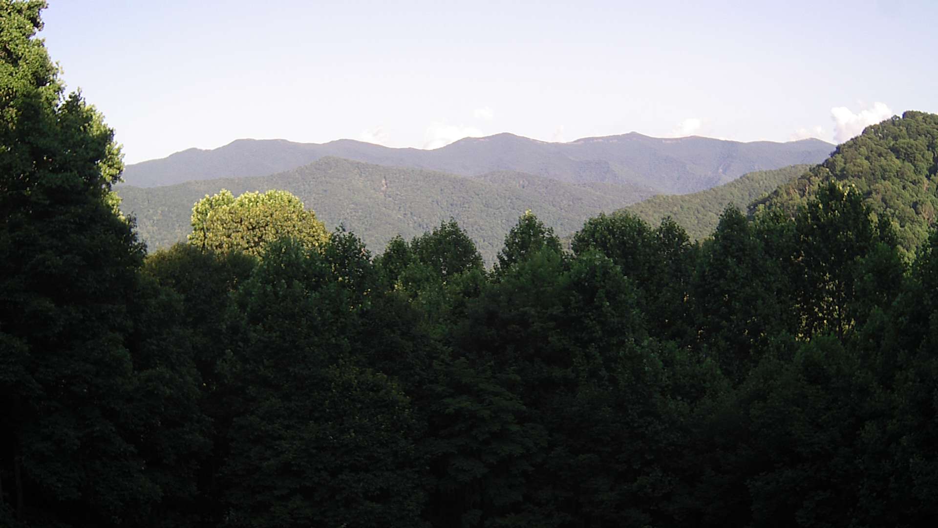 click for next image... slideshow image