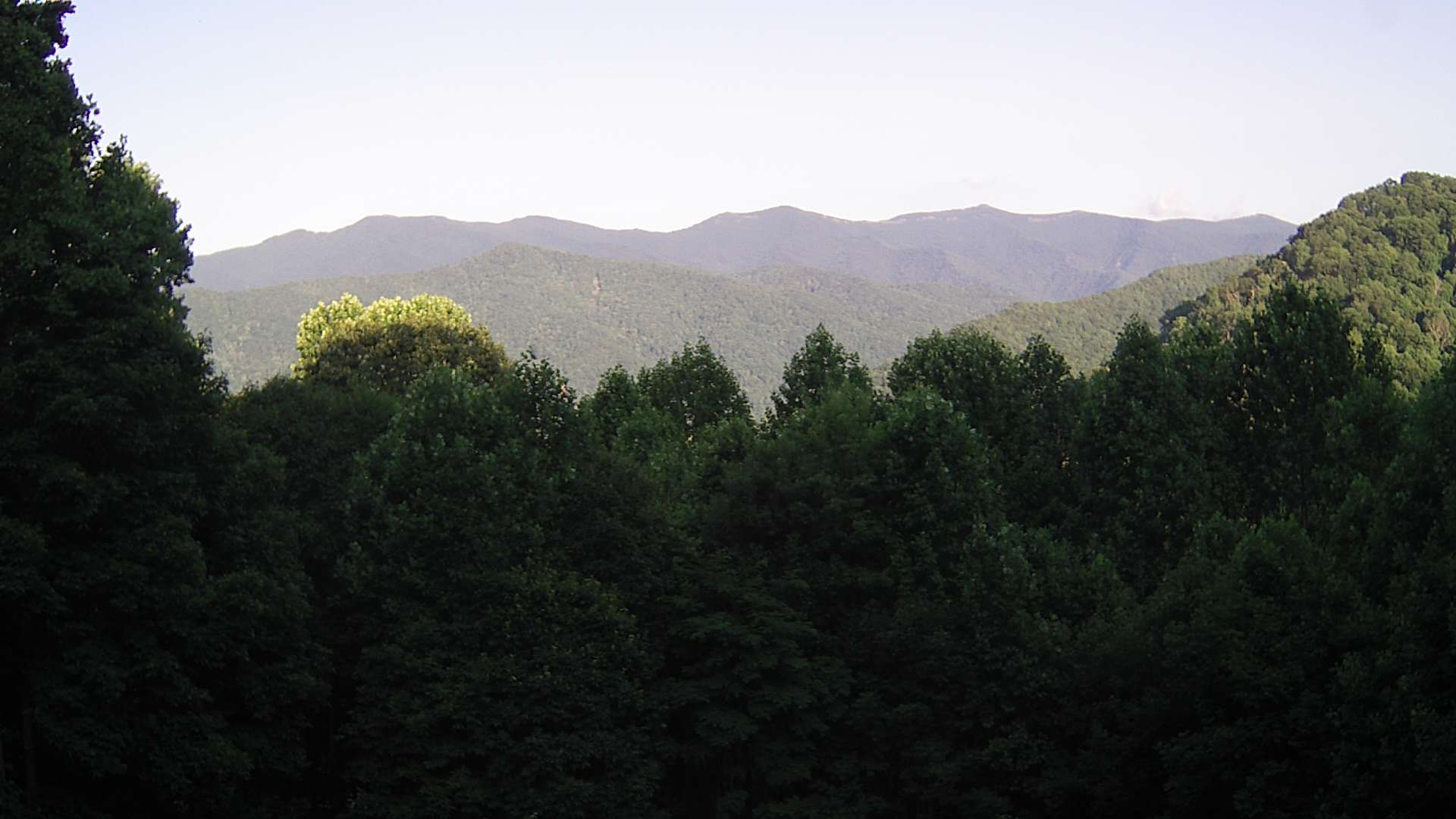 click for next image... slideshow image