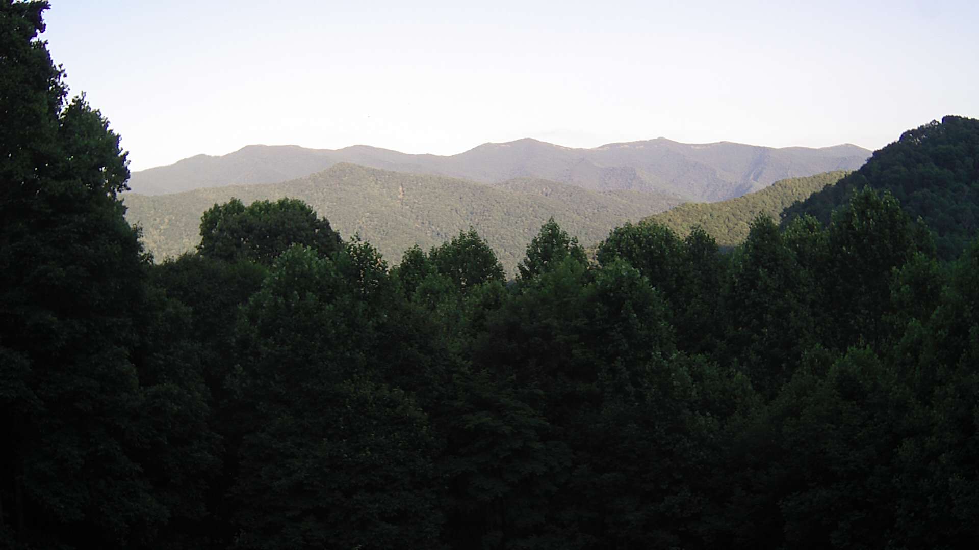 click for next image... slideshow image