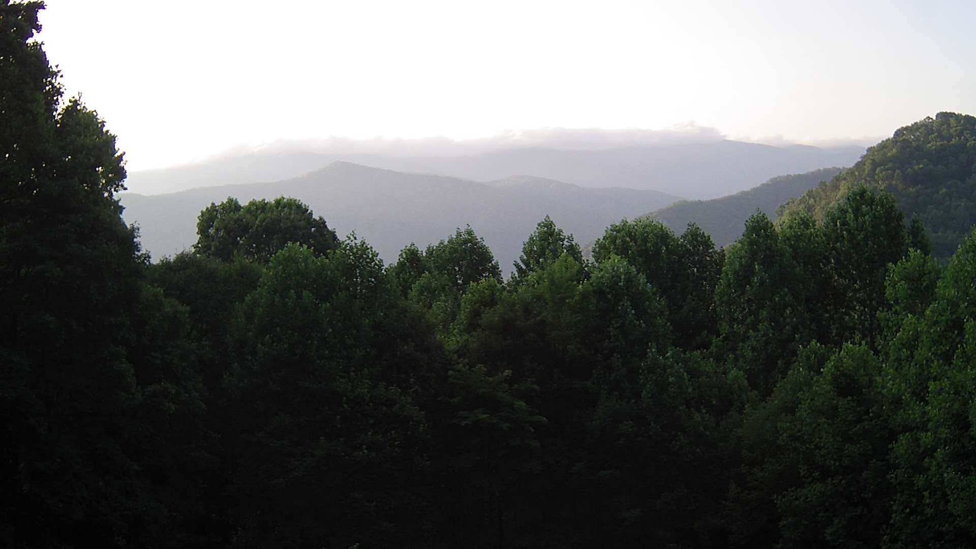 click for next image... slideshow image