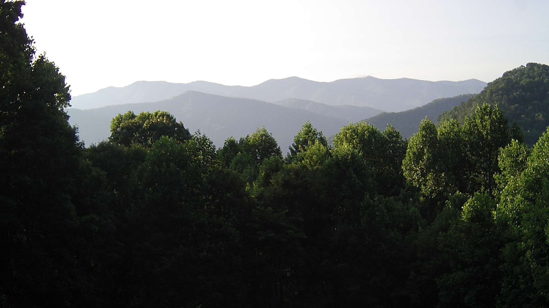 click for next image... slideshow image