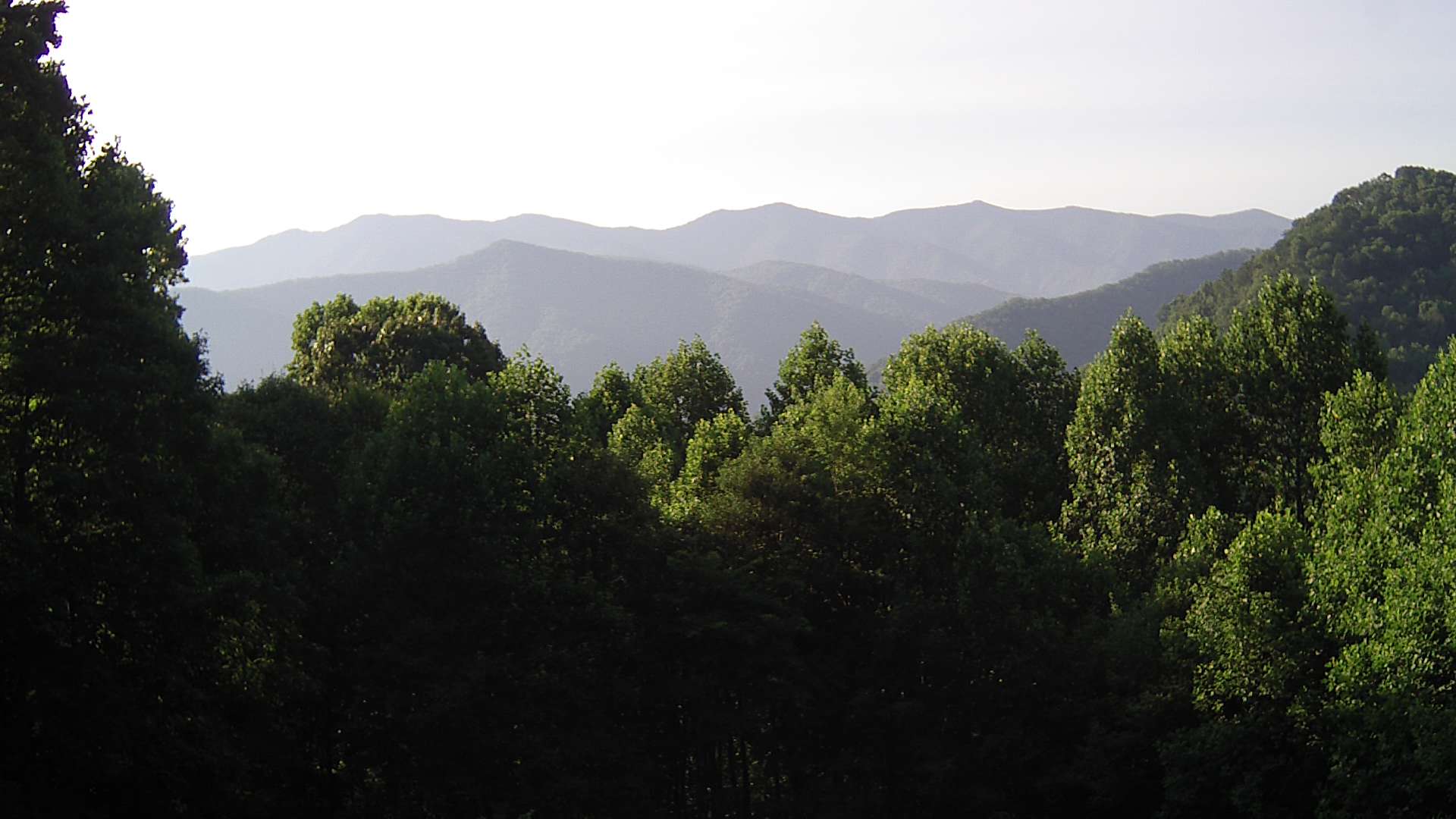 click for next image... slideshow image