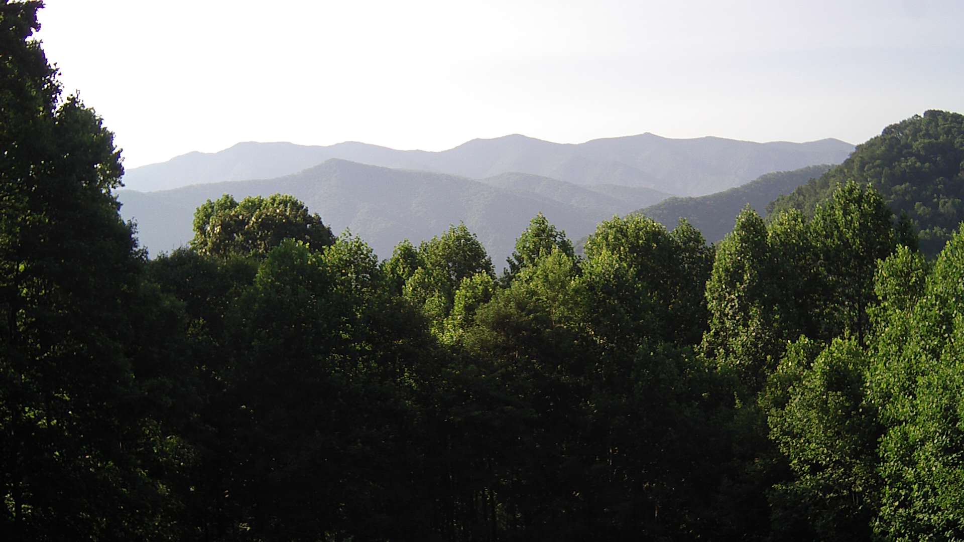 click for next image... slideshow image