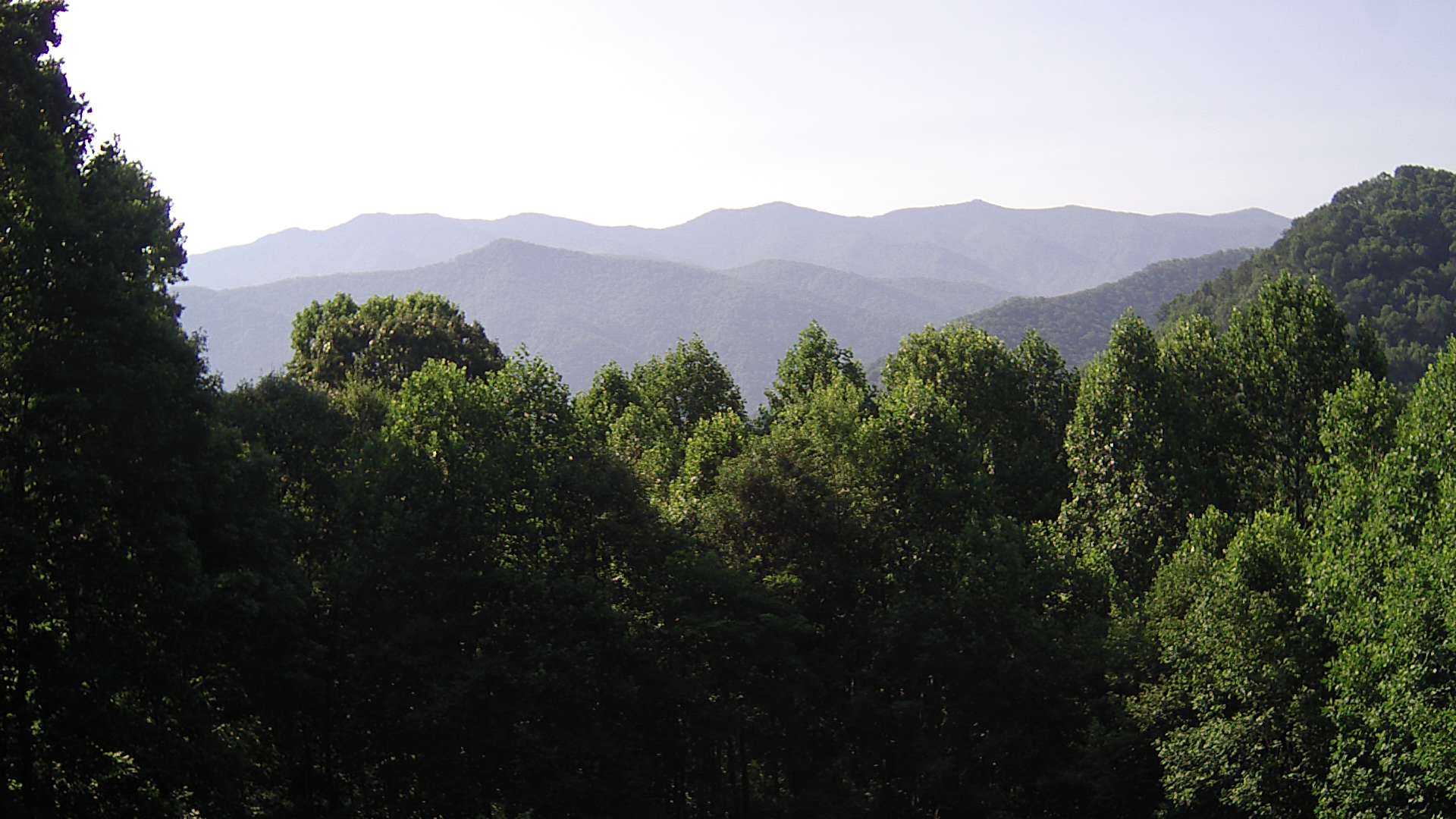 click for next image... slideshow image