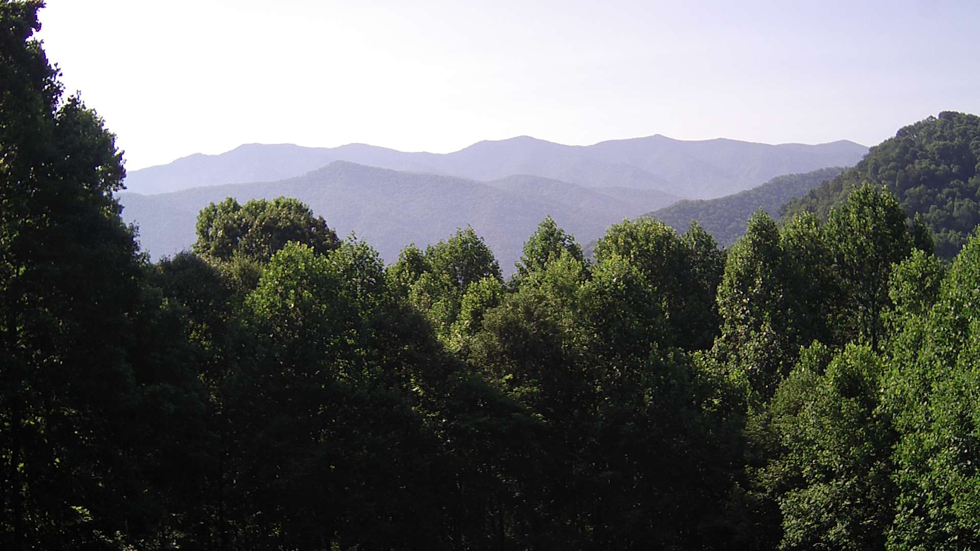click for next image... slideshow image