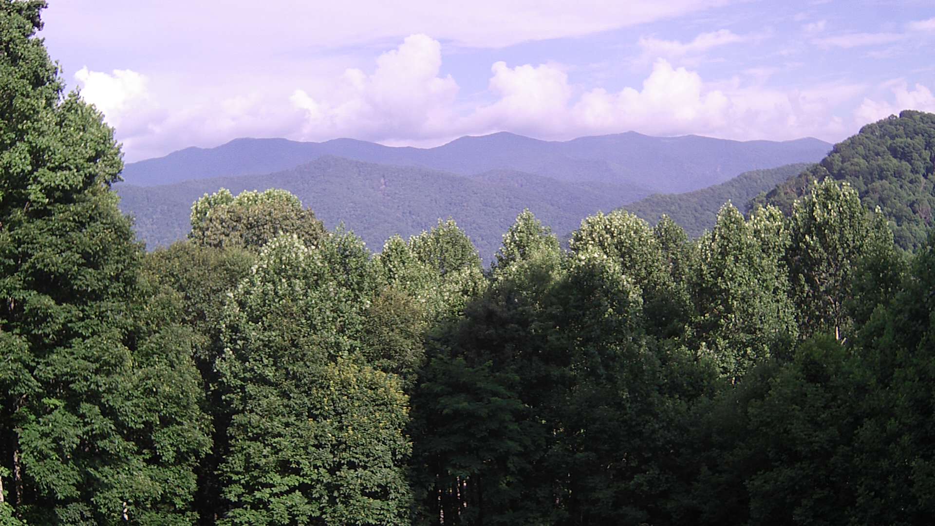 click for next image... slideshow image