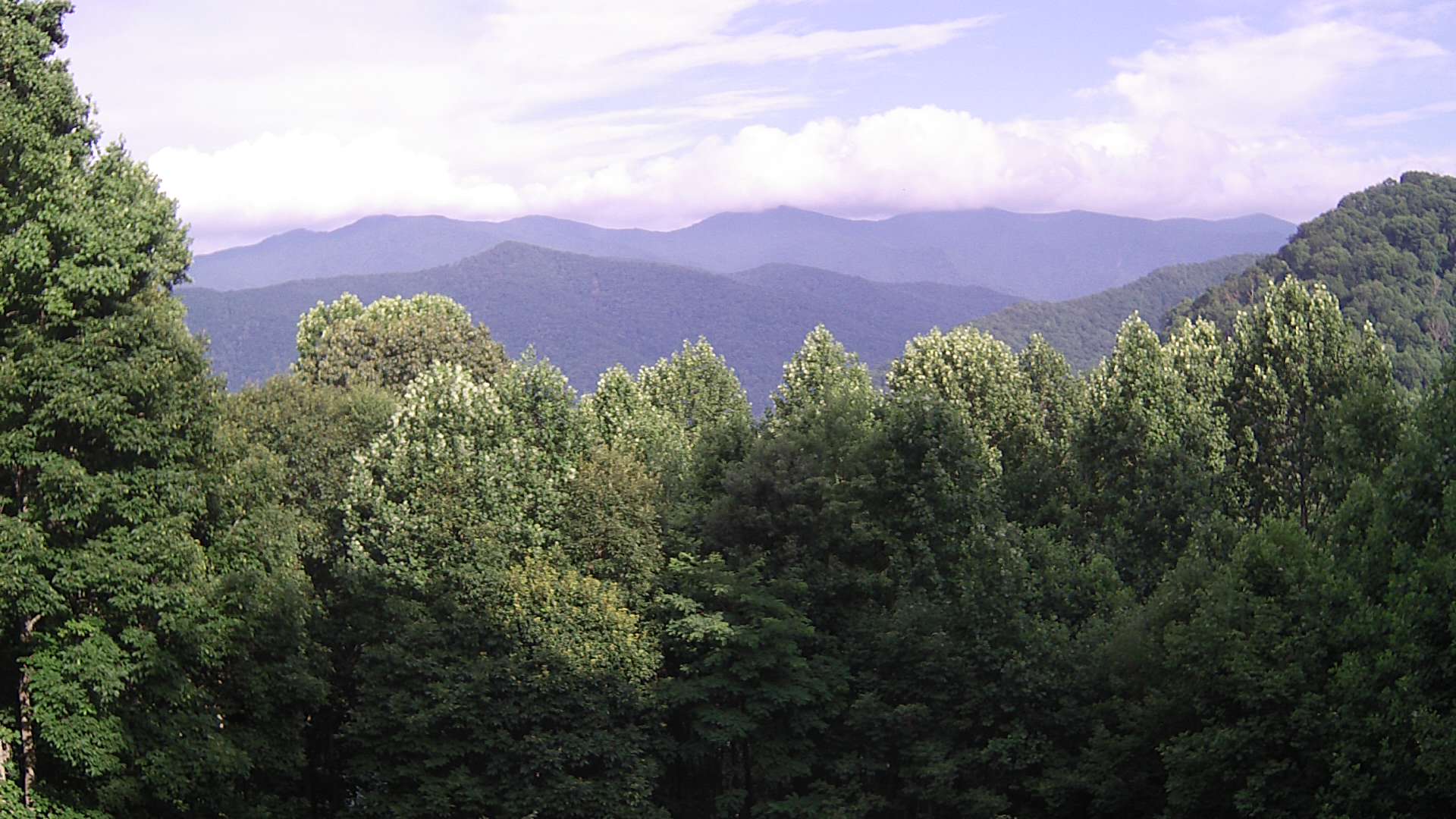 click for next image... slideshow image