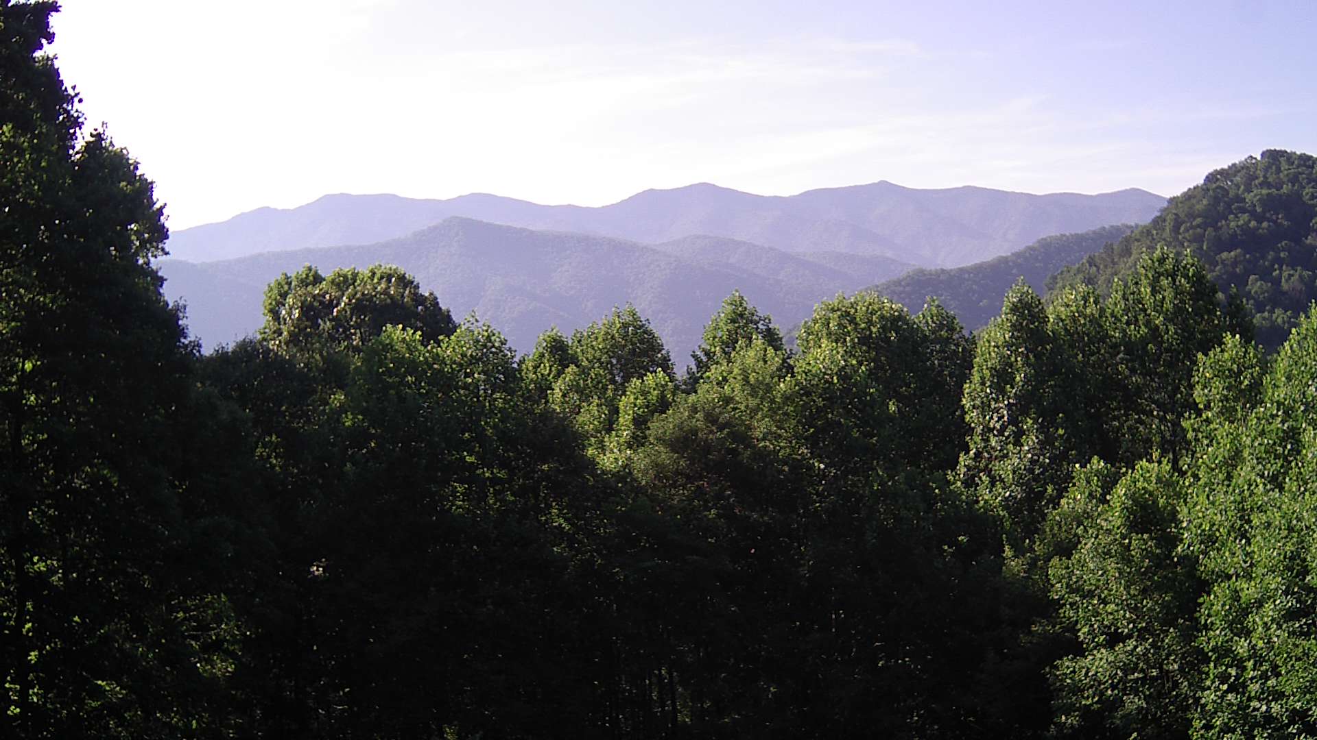 click for next image... slideshow image
