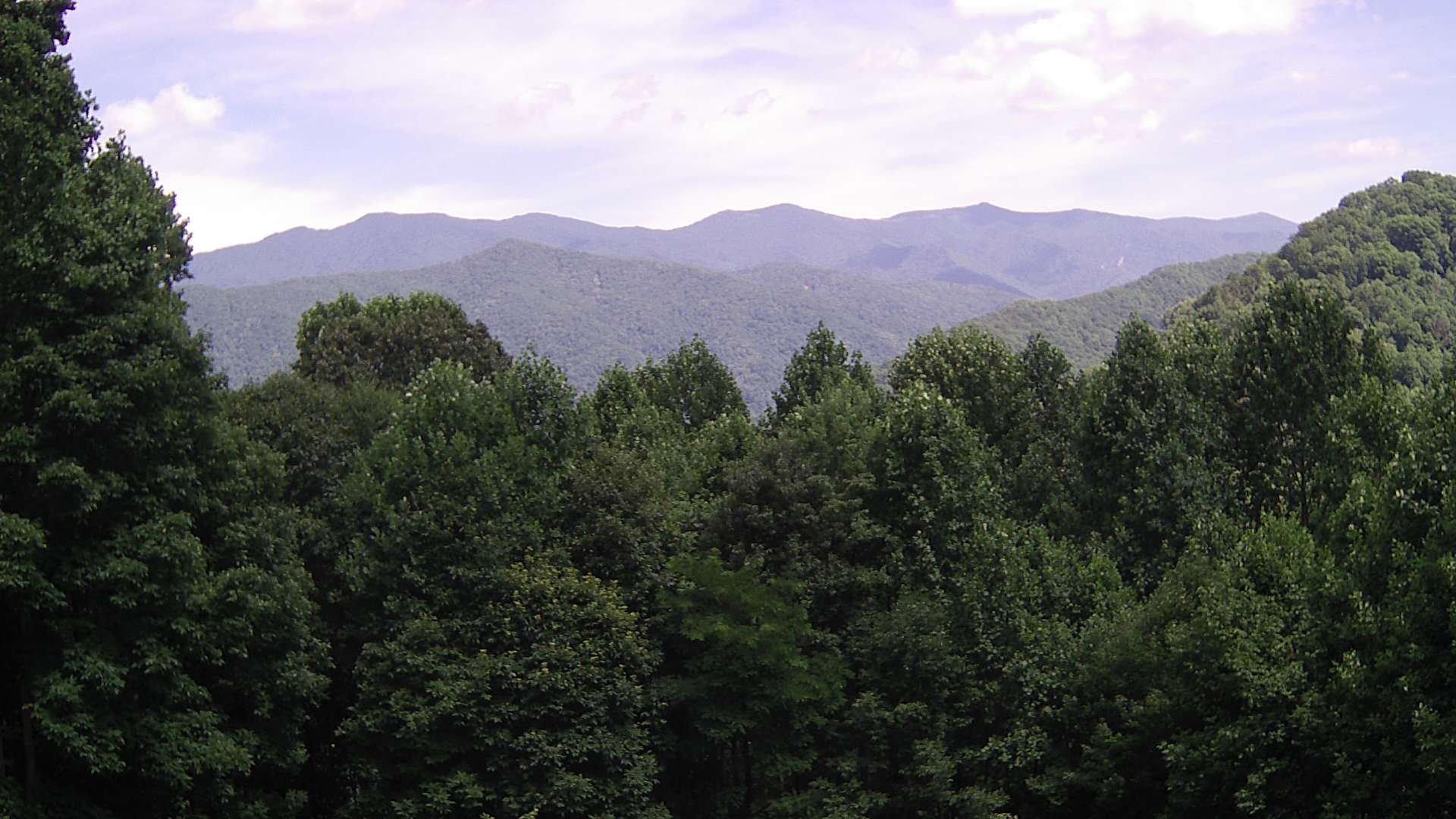 click for next image... slideshow image