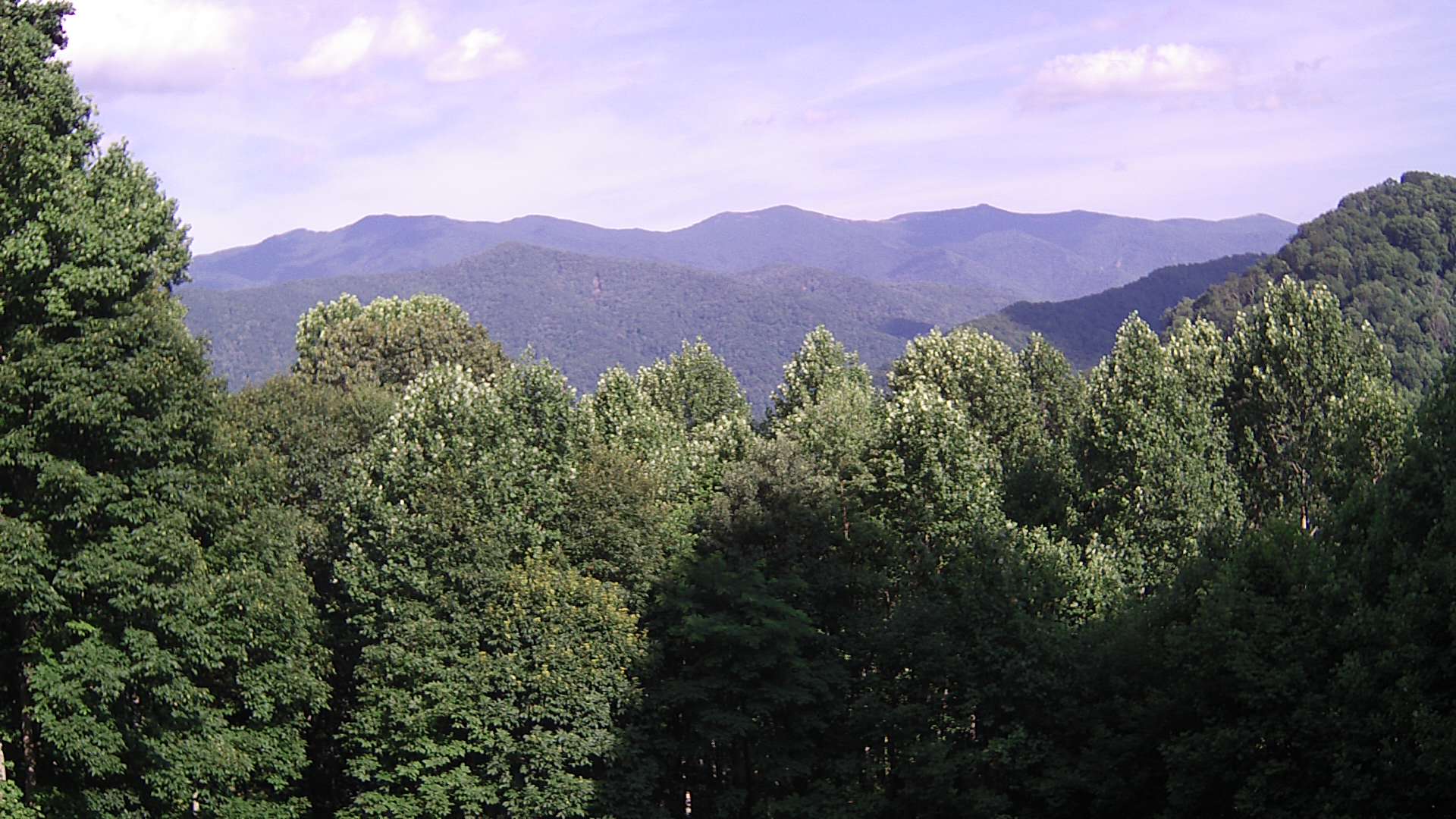 click for next image... slideshow image