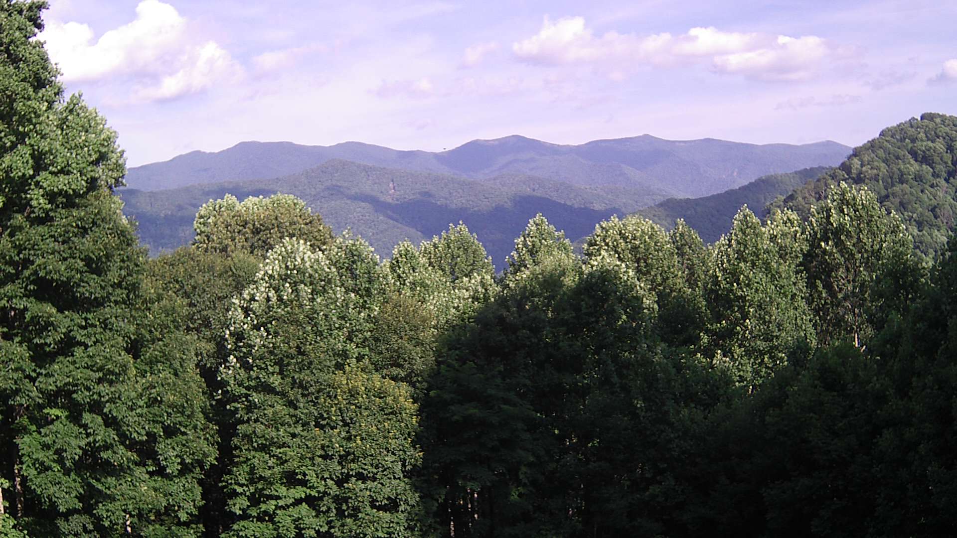 click for next image... slideshow image