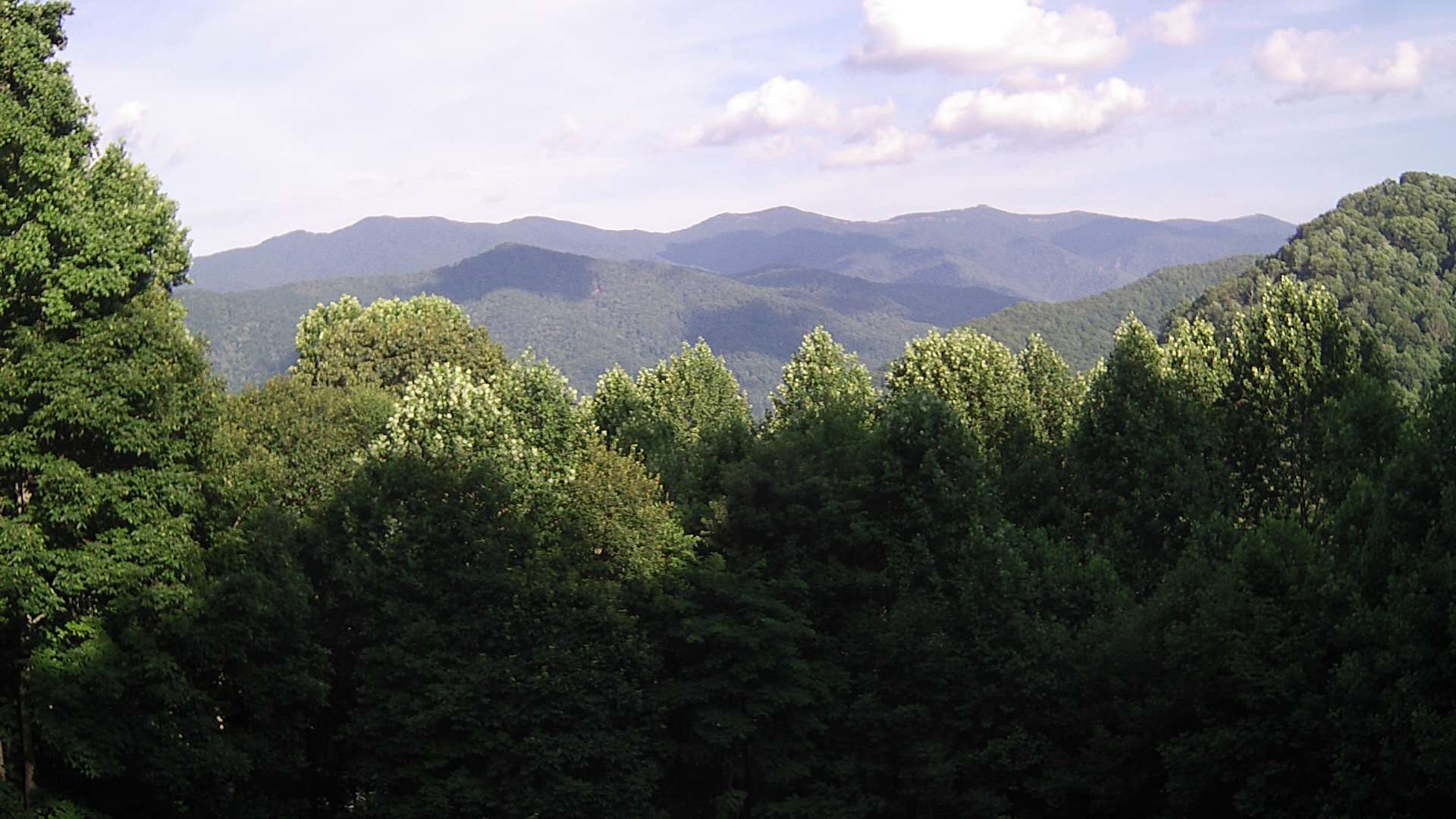 click for next image... slideshow image