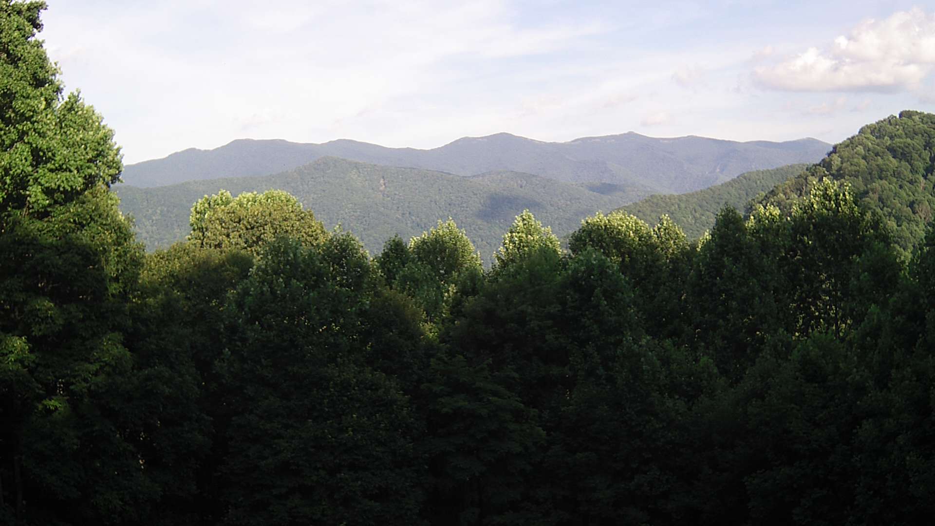 click for next image... slideshow image
