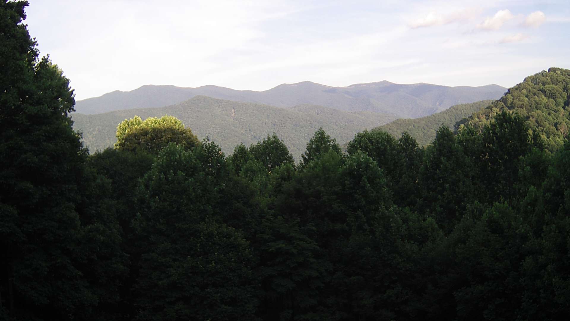 click for next image... slideshow image
