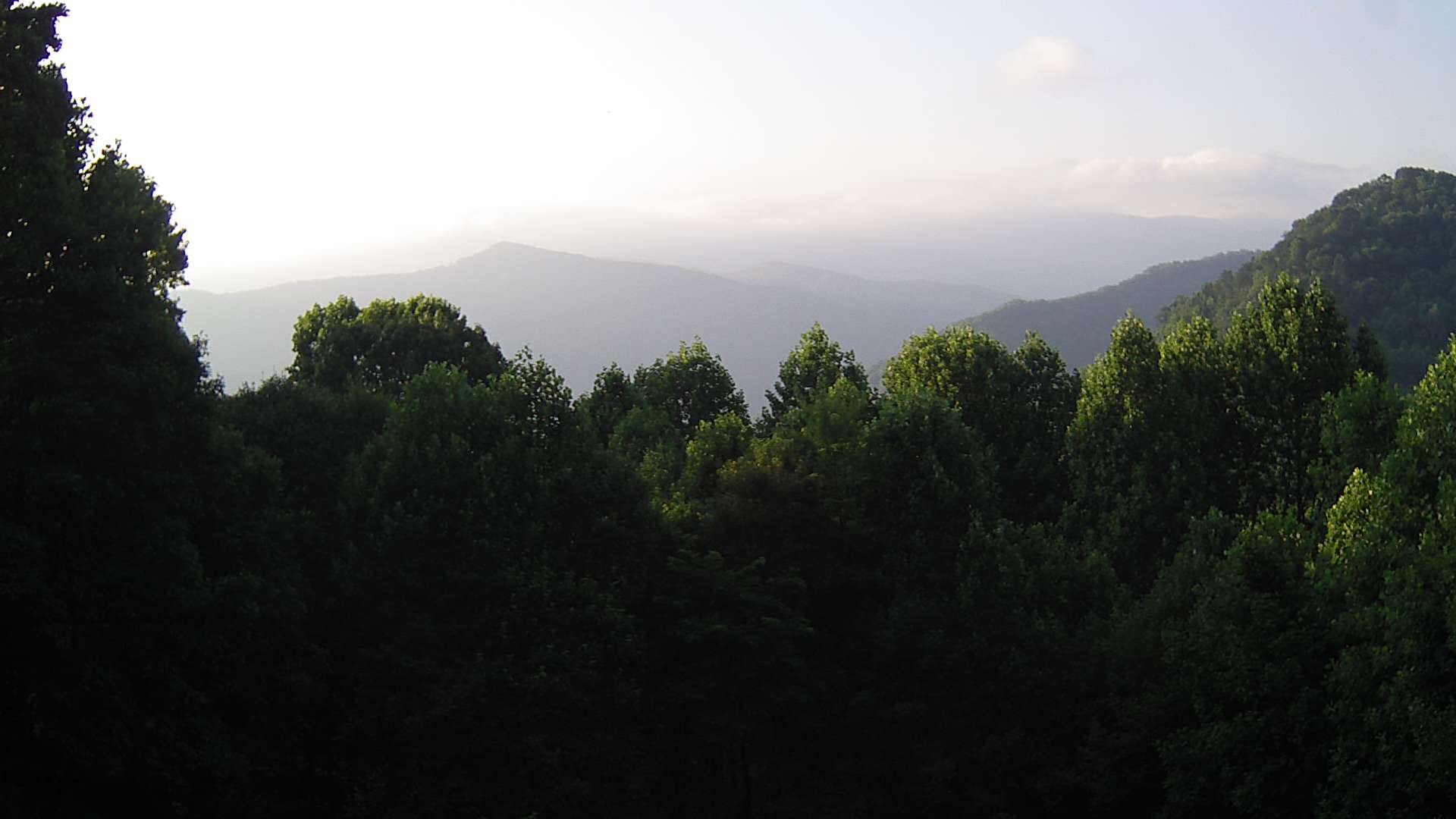 click for next image... slideshow image