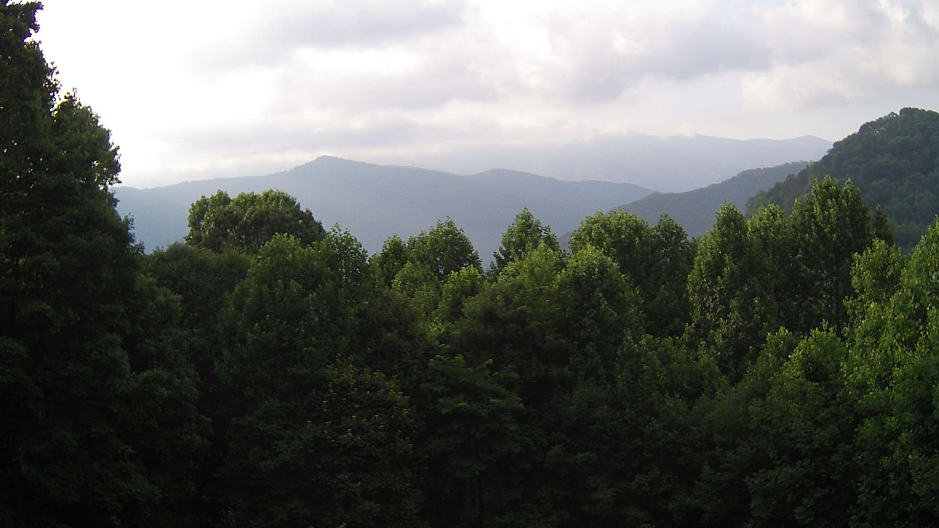 click for next image... slideshow image
