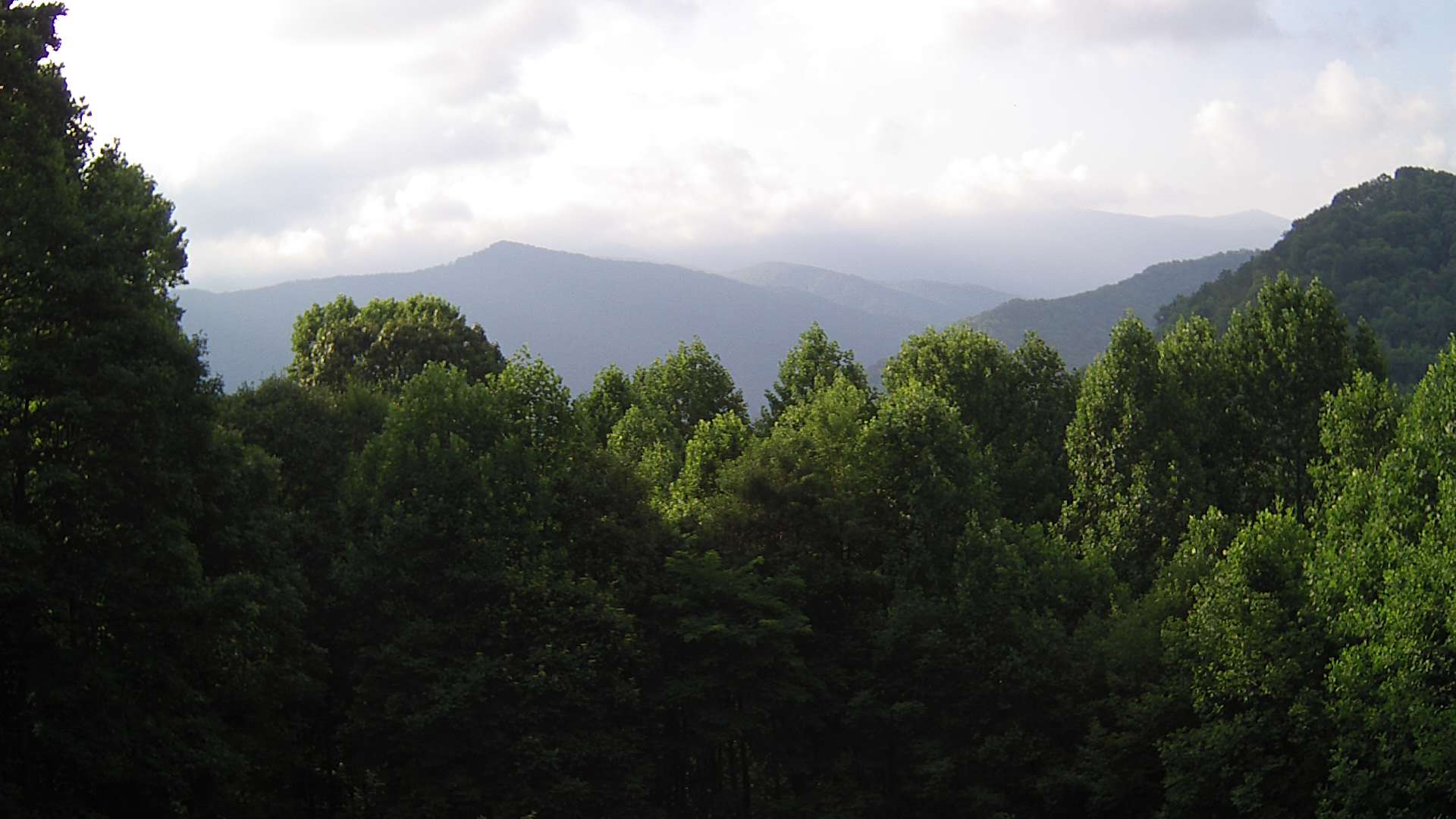 click for next image... slideshow image