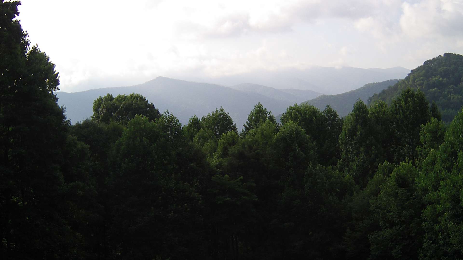 click for next image... slideshow image