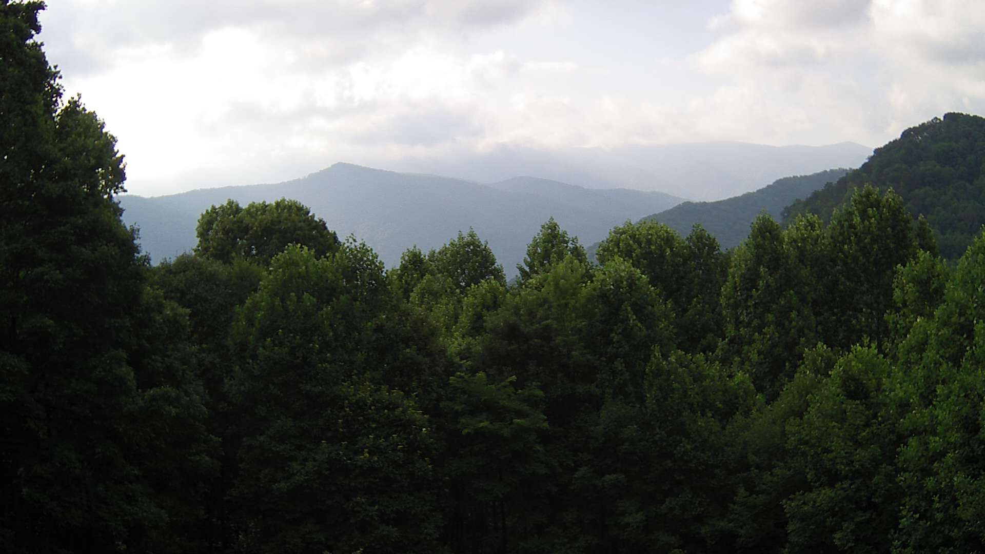 click for next image... slideshow image