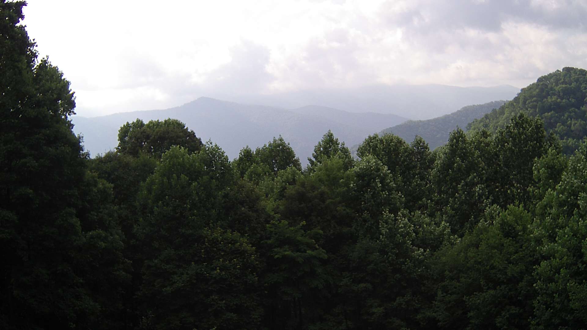 click for next image... slideshow image