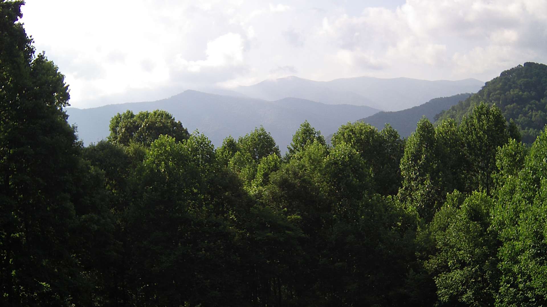 click for next image... slideshow image