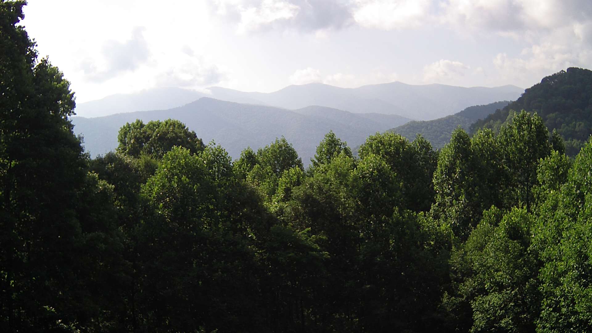 click for next image... slideshow image